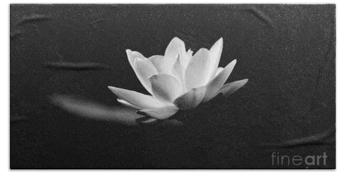 Lotus Bath Towel featuring the photograph Lotus by Scott Pellegrin