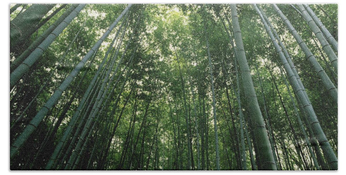 Photography Hand Towel featuring the photograph Low Angle View Of Bamboo Trees #1 by Panoramic Images