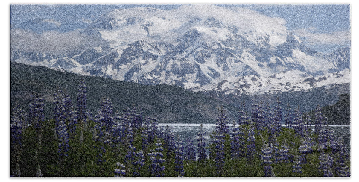 00477995 Bath Towel featuring the photograph Lupine And Mount Elias #2 by Matthias Breiter