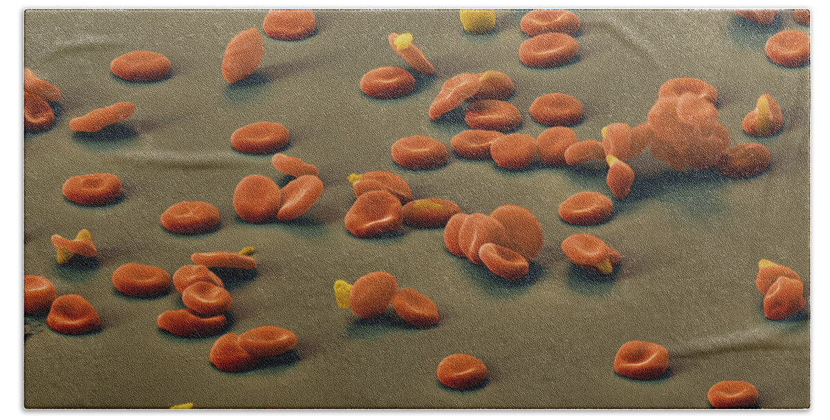 Malaria Parasite Bath Towel featuring the photograph Malarial Parasites #1 by Eye of Science