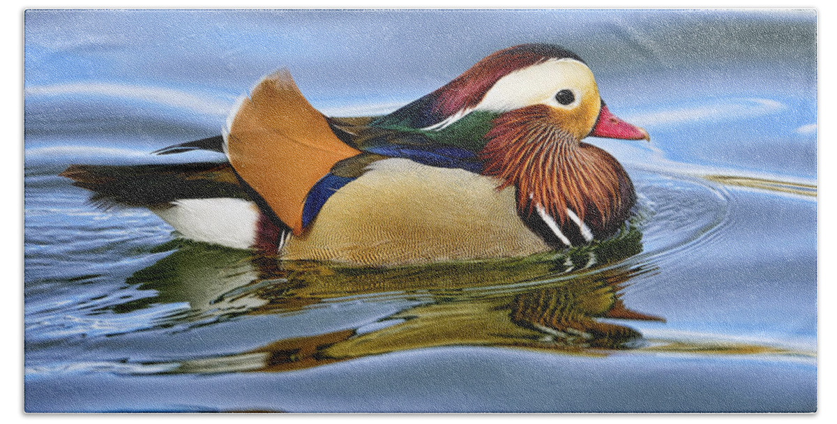 Dodsworth Bath Towel featuring the photograph Mandarin Duck #1 by Bill Dodsworth