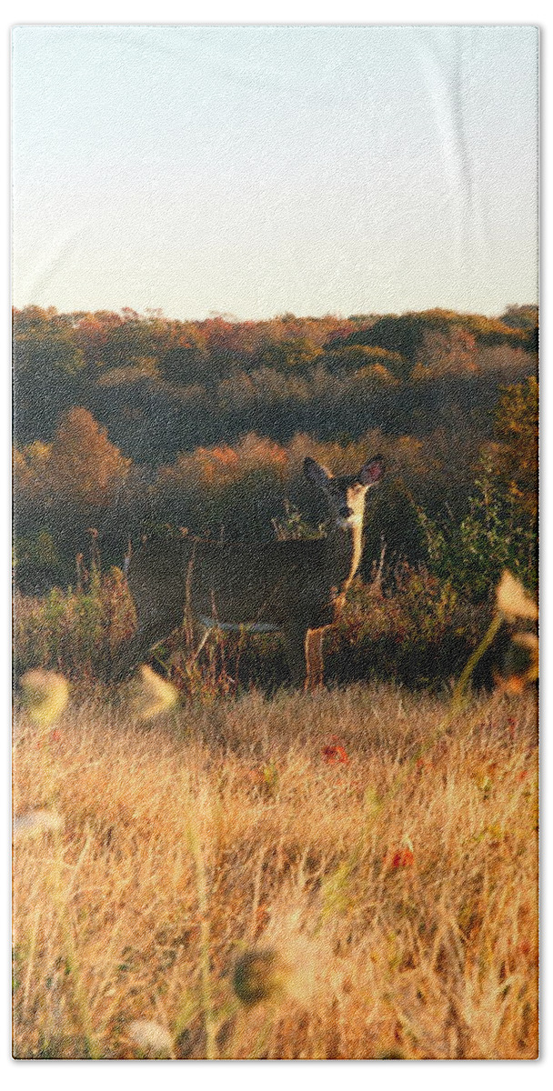 Deer Art Bath Towel featuring the photograph Morning Grazing  #1 by Neal Eslinger