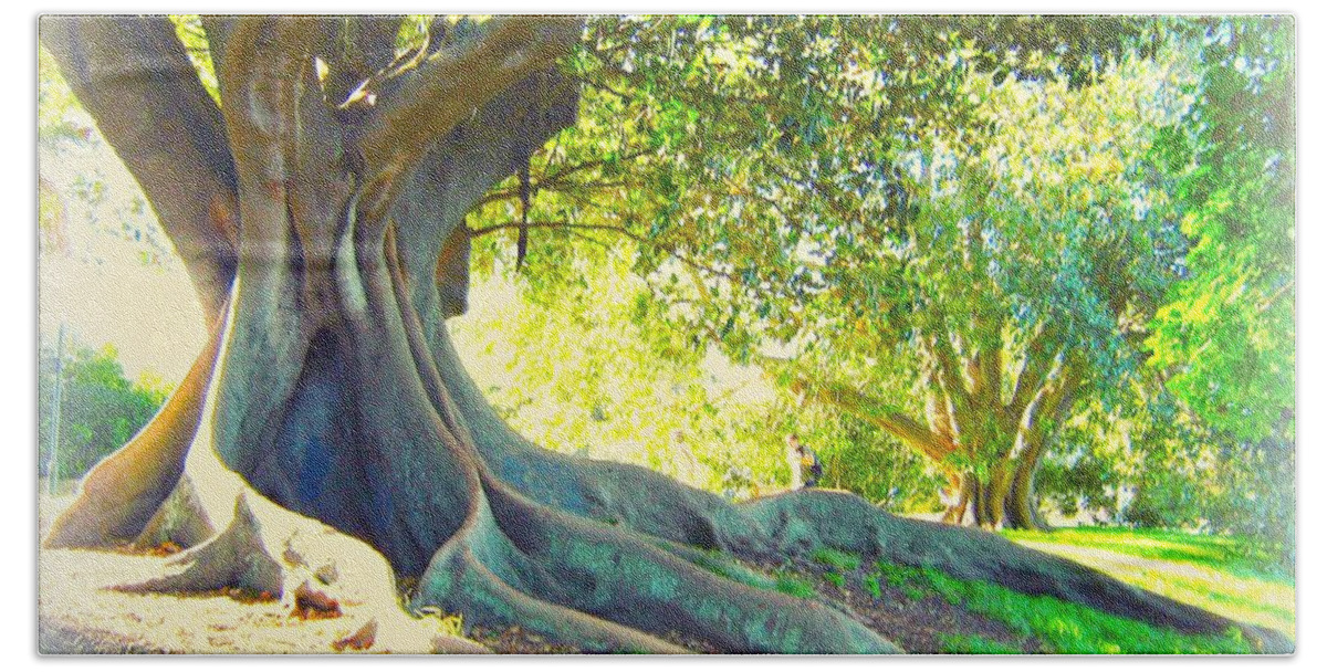 Tree Bath Towel featuring the photograph Morton Bay Fig Tree by Leanne Seymour