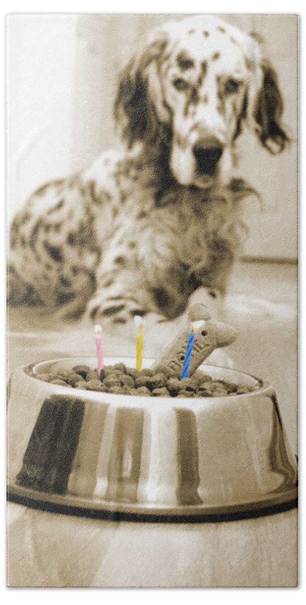 Dog Bath Towel featuring the photograph My best friend's birthday #1 by Alexey Stiop