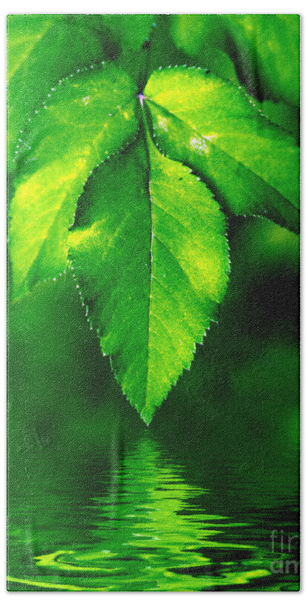 Abstract Hand Towel featuring the photograph Natural leaves background #1 by Michal Bednarek