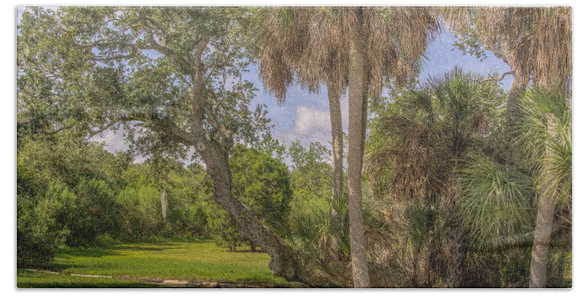 Florida Bath Towel featuring the photograph Oak trees #1 by Jane Luxton