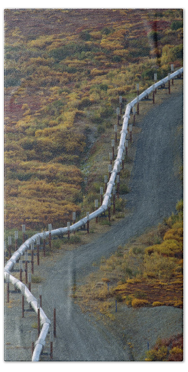 Feb0514 Bath Towel featuring the photograph Oil Pipeline Crossing Taiga Alaska #1 by Gerry Ellis