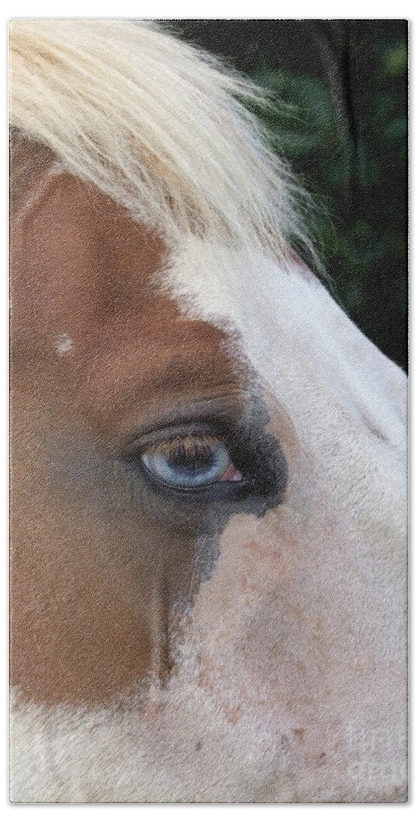 Horse Bath Towel featuring the photograph Old Blue Eyes by Mary Deal