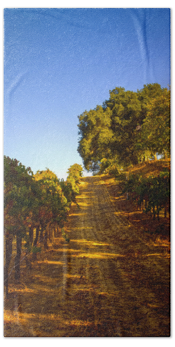 Opolo Hand Towel featuring the photograph Opolo Winery #1 by Bryant Coffey