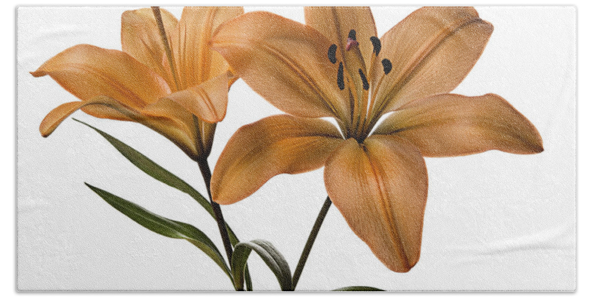 Flower Bath Towel featuring the photograph Orange Asiatic Lilies by Endre Balogh