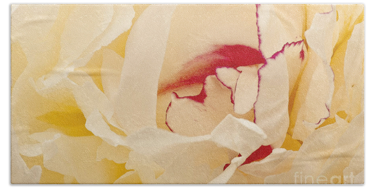 Flower Bath Towel featuring the photograph Peony #2 by Steven Ralser