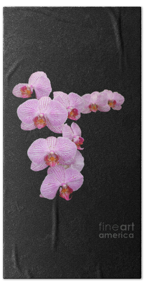 Lavnder Bath Towel featuring the photograph Pink Orchids by Tom Prendergast