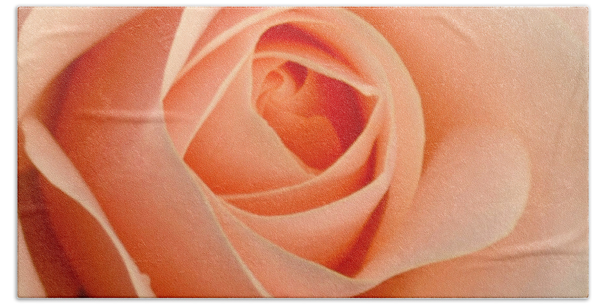 Rose Hand Towel featuring the photograph Portrait of a Rose #2 by Lena Photo Art