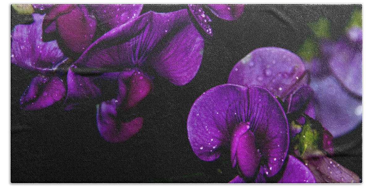 Columbia Bath Towel featuring the photograph Raindrops by Kathi Isserman