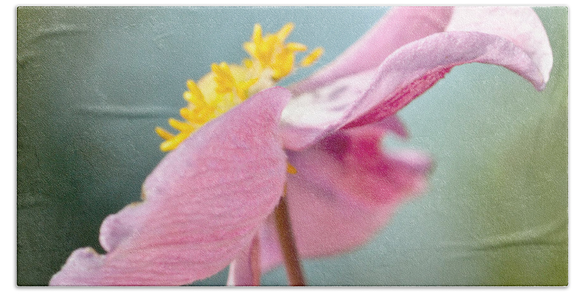 Japanese Anemone Hand Towel featuring the photograph Reaching for the Sky #2 by Kerri Farley