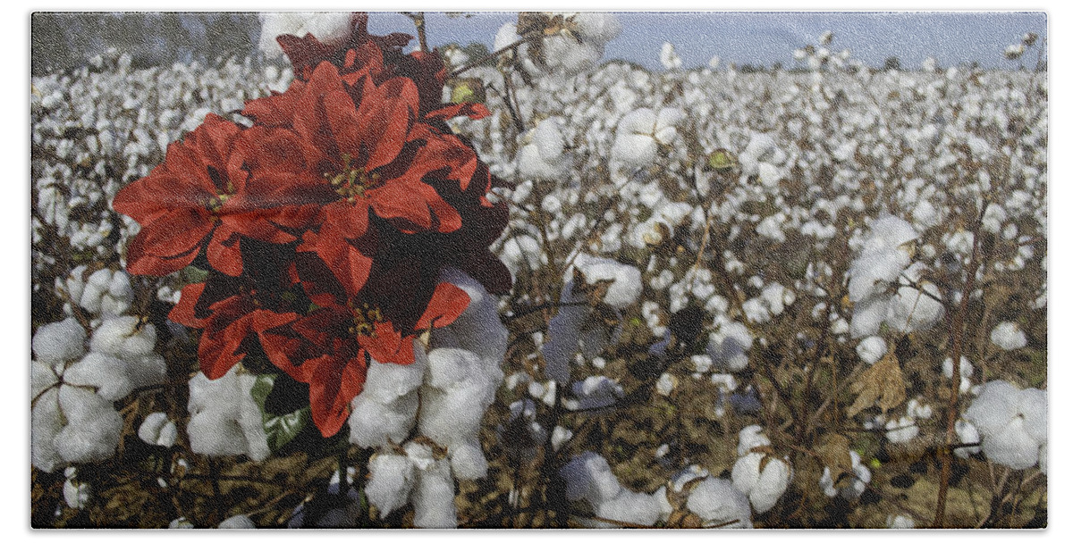 Christmas Bath Towel featuring the digital art Red in the Cotton #1 by Michael Thomas