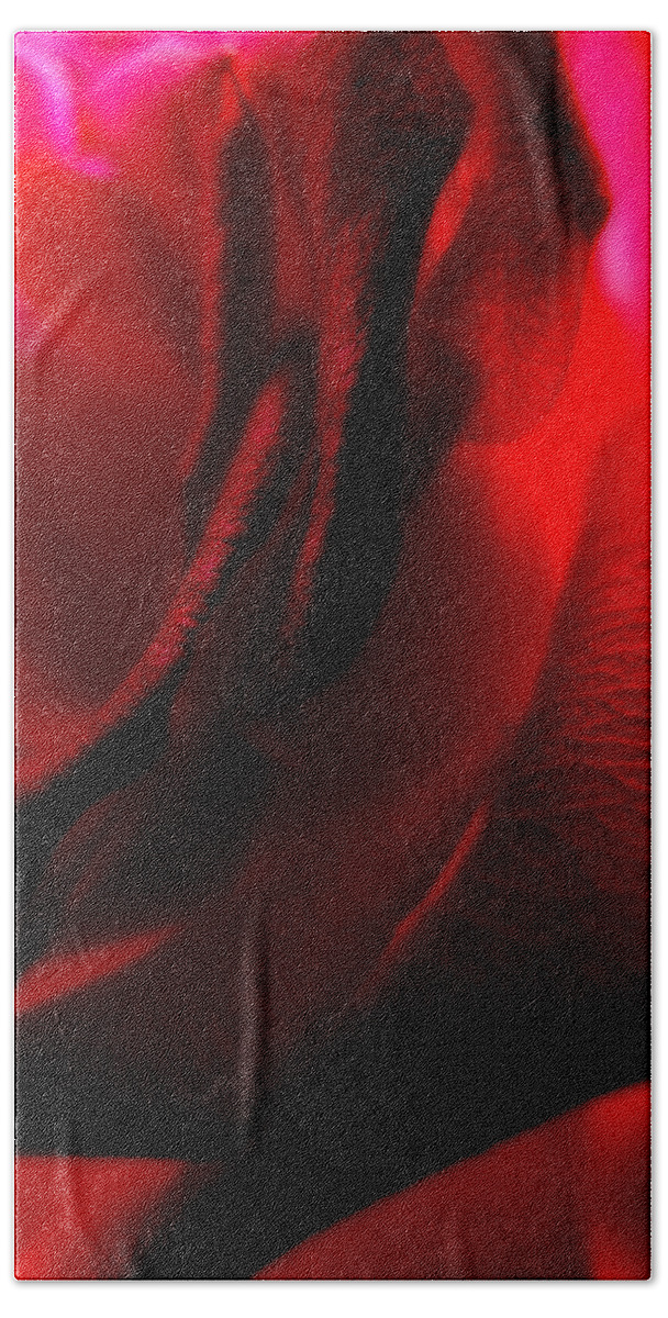 Rose Bath Towel featuring the photograph Red Petal Macro 3 #1 by Joseph Hedaya