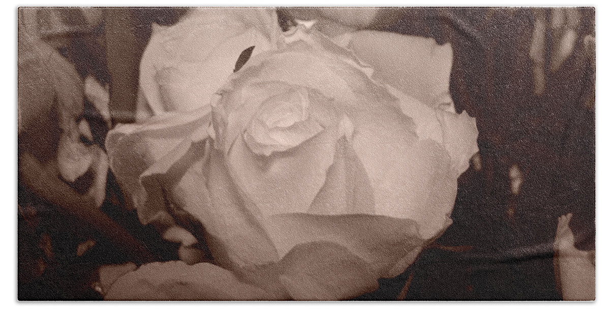 Rose Bath Towel featuring the photograph Rose #1 by Tiziana Maniezzo
