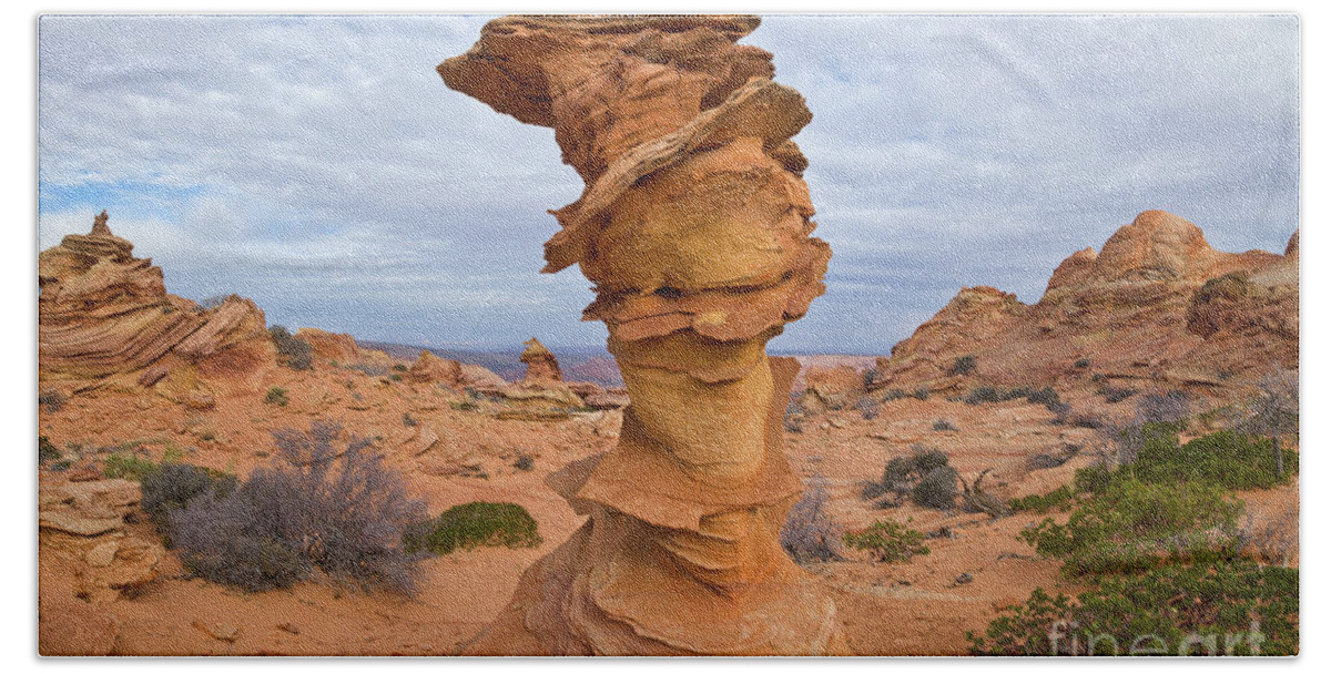 00559259 Bath Towel featuring the photograph Sandstone Formation Vermillion Cliffs by Yva Momatiuk John Eastcott