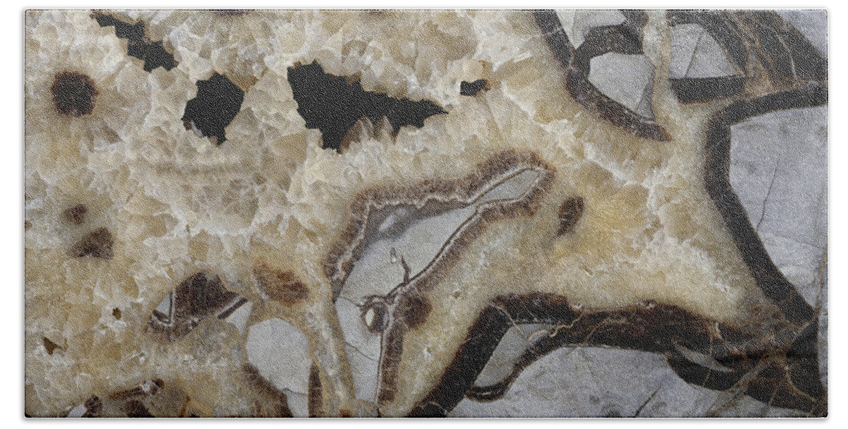 Calcite Crystals Hand Towel featuring the photograph Septarian Concretion #1 by A.b. Joyce