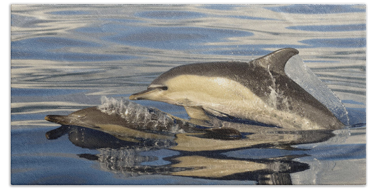 Flpa Bath Towel featuring the photograph Short-beaked Common Dolphins Azores #1 by Malcolm Schuyl