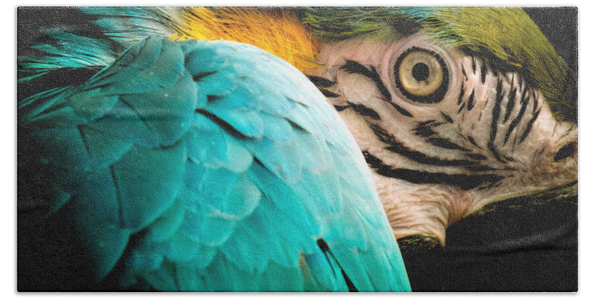 Macaws Bath Towel featuring the photograph Sleeping Beauty by Karen Wiles