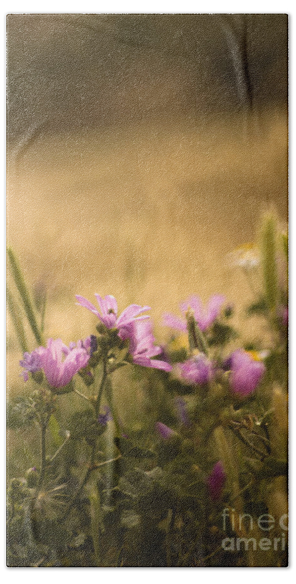 Meadow Bath Towel featuring the photograph Spanish meadow #1 by Ang El