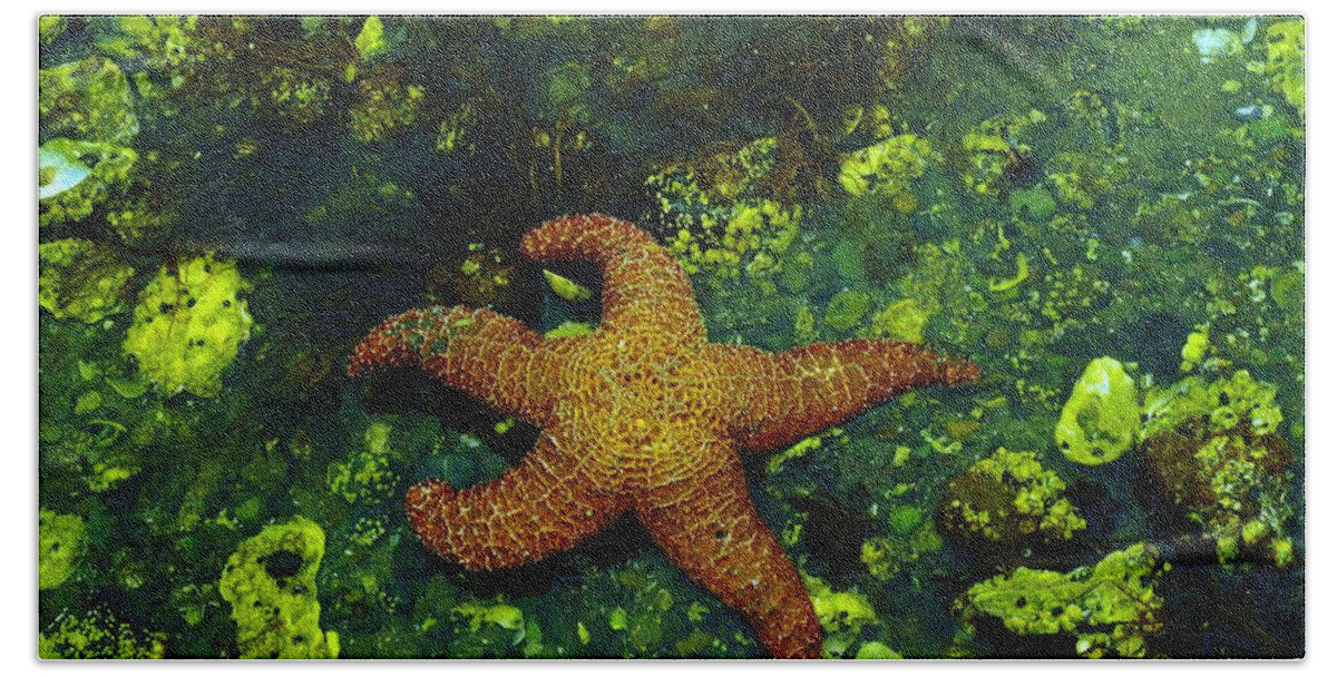 Ocean Bath Sheet featuring the photograph Starfish #1 by Jeff Swan