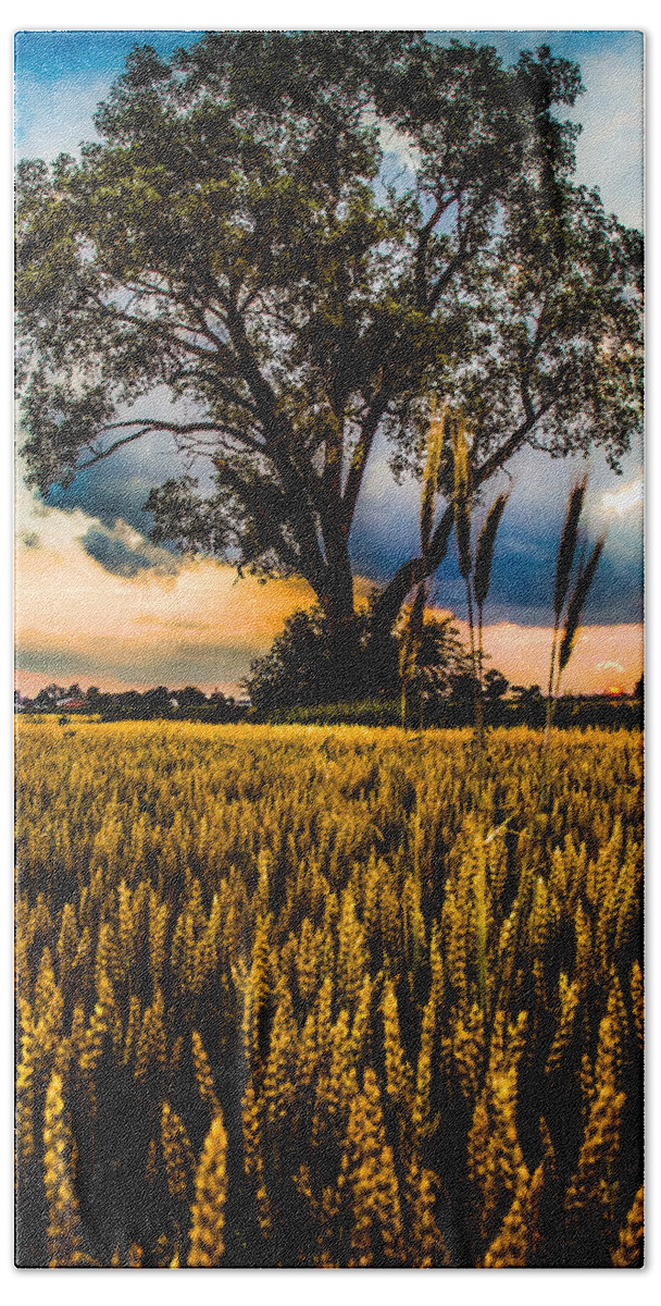 Archbold Bath Towel featuring the photograph Summer Evening After A Rain #1 by Michael Arend