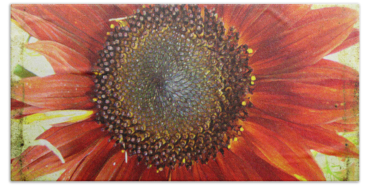 Flora Hand Towel featuring the photograph Sunflower by Kathy Bassett