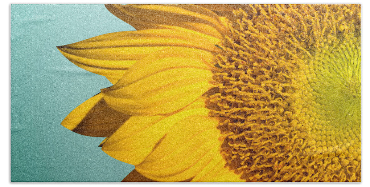 Sunflowers Hand Towel featuring the photograph Sunflower Naturally 3 by Mark Ashkenazi