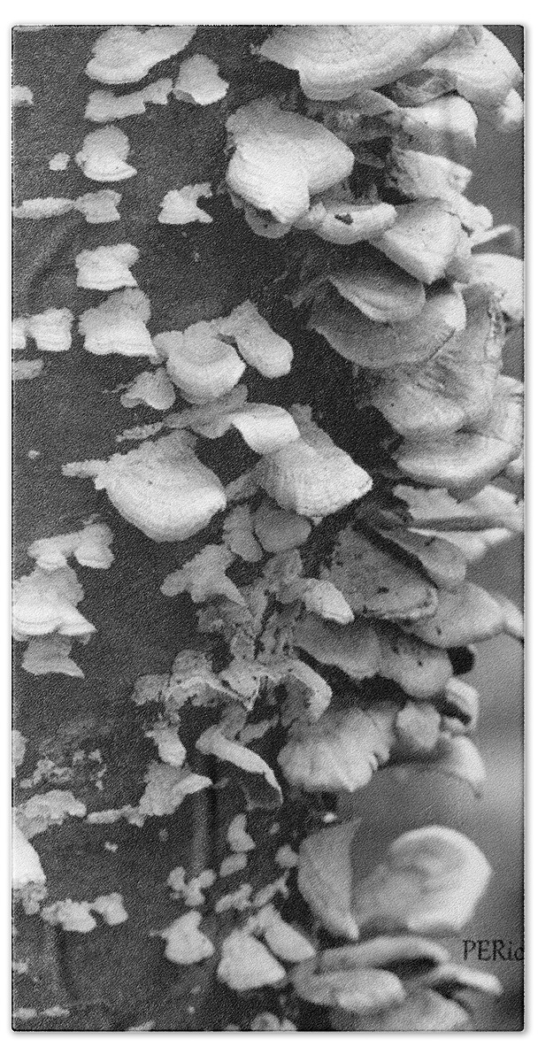 Fungi Bath Sheet featuring the photograph Tenuous #1 by Priscilla Richardson