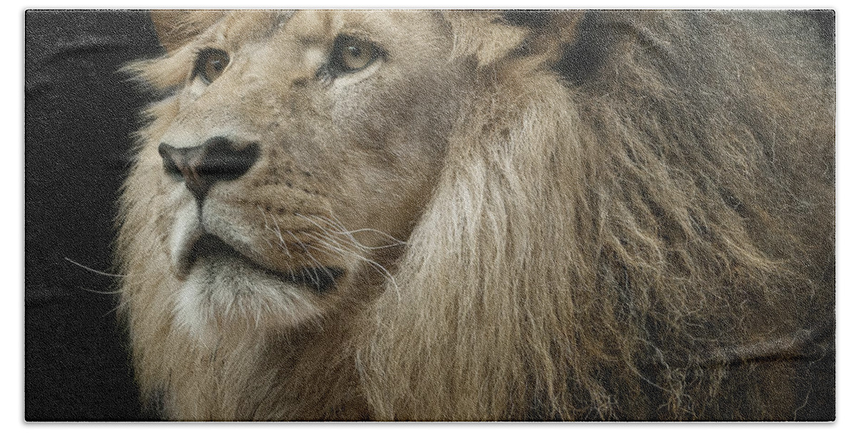 Resting Hand Towel featuring the photograph The King by Linda D Lester