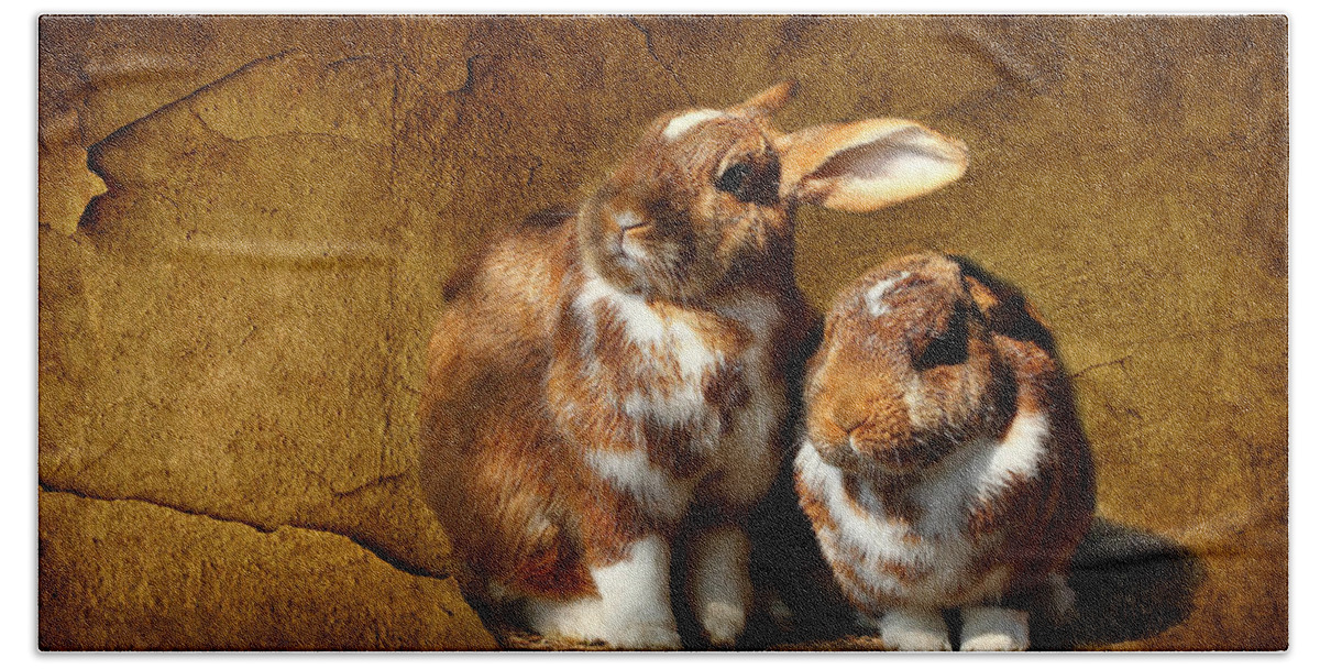 Rabbit Bath Towel featuring the photograph The rabbit #1 by Heike Hultsch