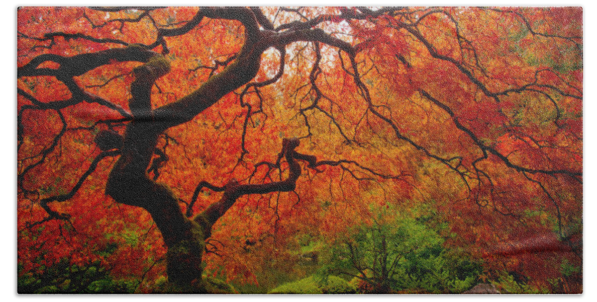 Autumn Hand Towel featuring the photograph Tree Fire by Darren White