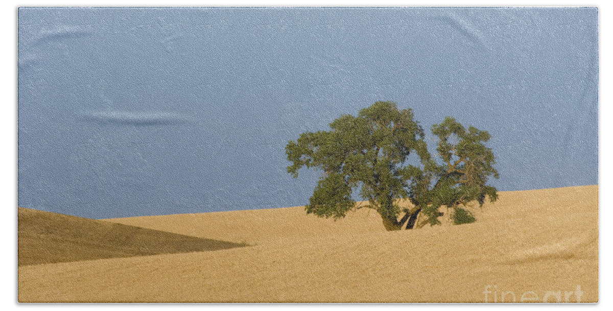 Tree Hand Towel featuring the photograph Tree In Field #1 by John Shaw