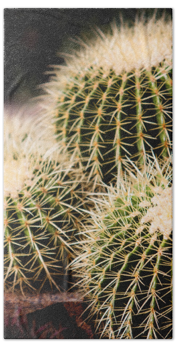 Botanical Bath Towel featuring the photograph Triple Cactus #2 by John Wadleigh