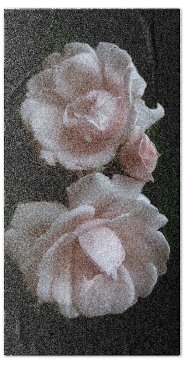 Roses Bath Towel featuring the photograph Vintage Roses #2 by Louise Kumpf