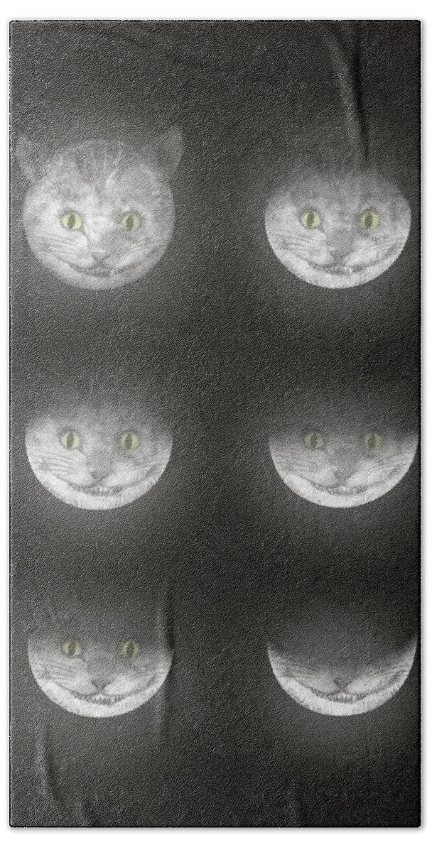 Cats Bath Sheet featuring the drawing Waning Cheshire by Eric Fan