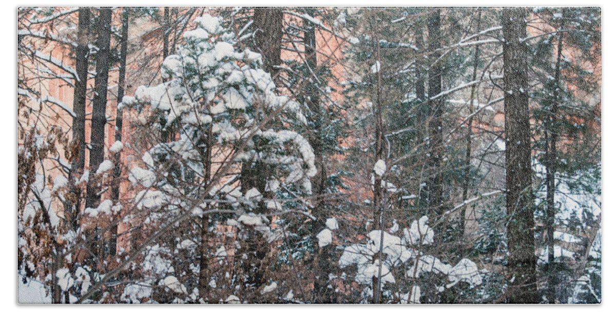 Snow Bath Towel featuring the photograph West Fork Snow #1 by Tam Ryan