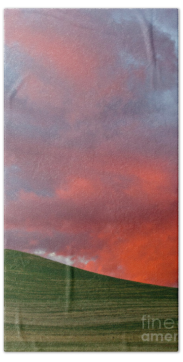 00559267 Hand Towel featuring the photograph Wheat Field At Sunset Palouse Hills by Yva Momatiuk and John Eastcott