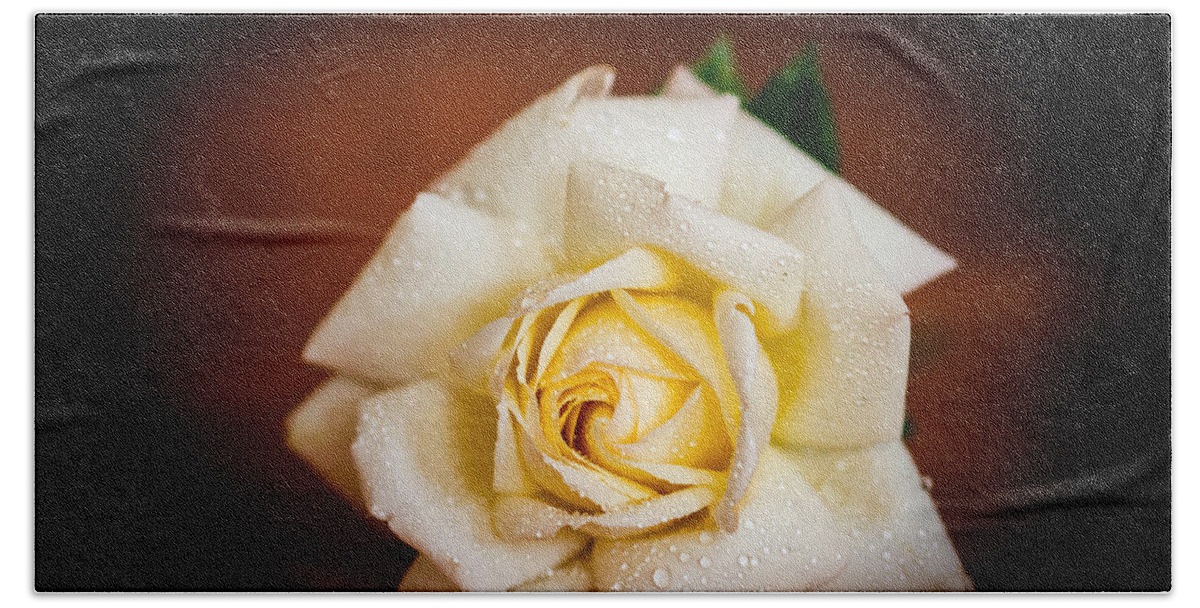 Brown Bath Sheet featuring the photograph White Rose #1 by Mark Llewellyn