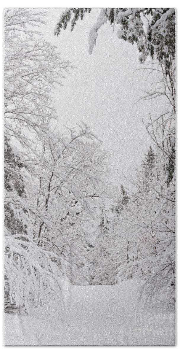  Hand Towel featuring the photograph Winter Road #1 by Cheryl Baxter