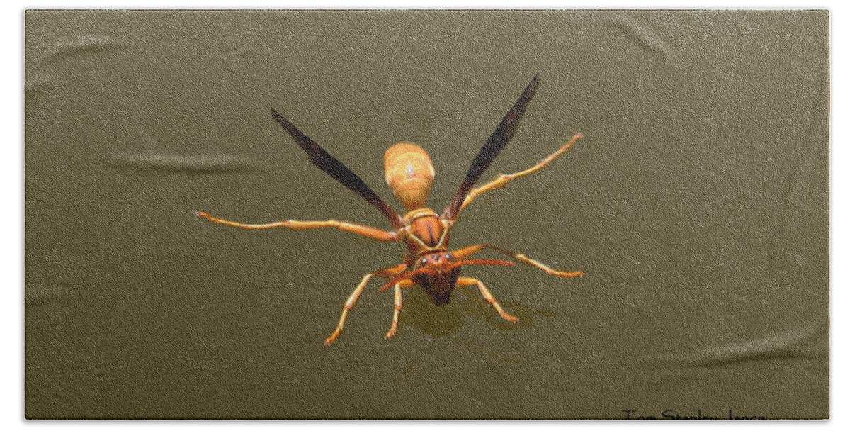 Yellow Jacket Wasp Bath Towel featuring the photograph Yellow Jacket Wasp #1 by Tom Janca
