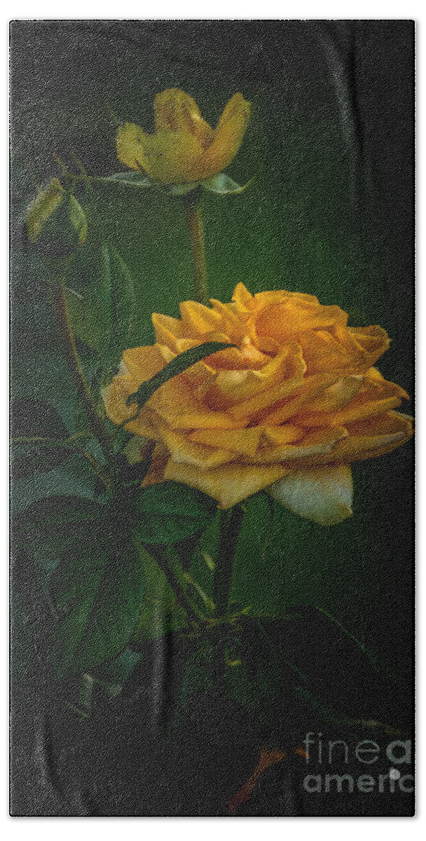 Rose Bath Towel featuring the photograph Yellow Rose #1 by Ronald Grogan