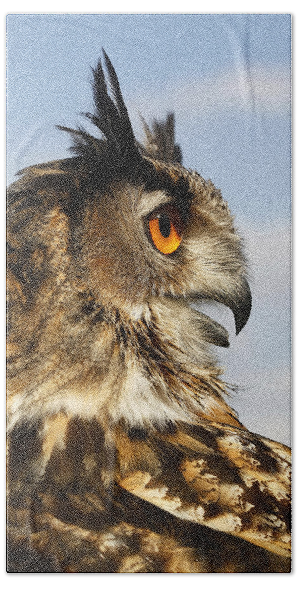 Adult Hand Towel featuring the photograph Hibou Grand Duc Deurope Bubo Bubo #10 by Gerard Lacz