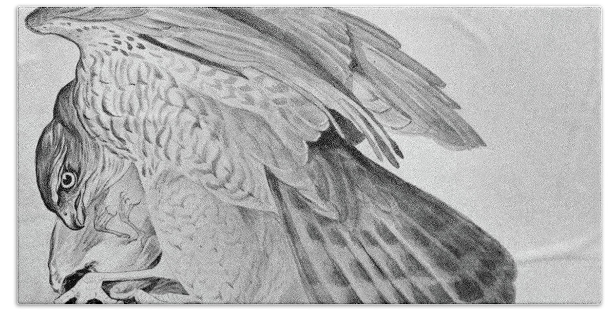 1895 Bath Towel featuring the drawing Blackburn Birds, 1895 #11 by Granger