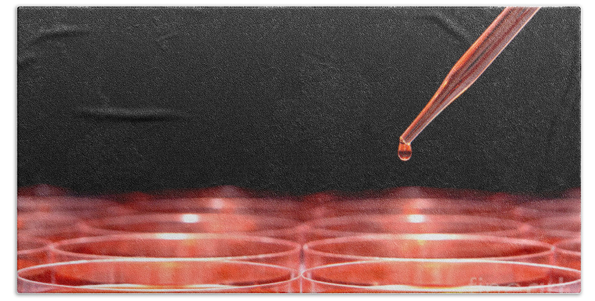 Lab Bath Towel featuring the photograph Laboratory Experiment in Science Research Lab #11 by Science Research Lab