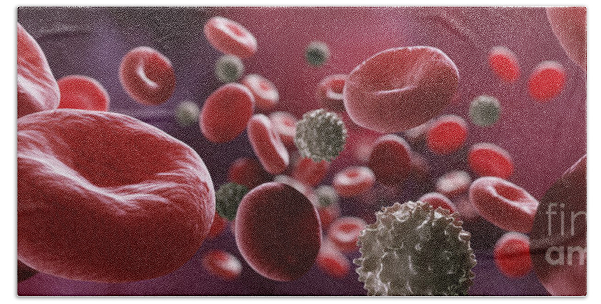 Anatomical Model Bath Towel featuring the photograph Blood Cells #12 by Science Picture Co