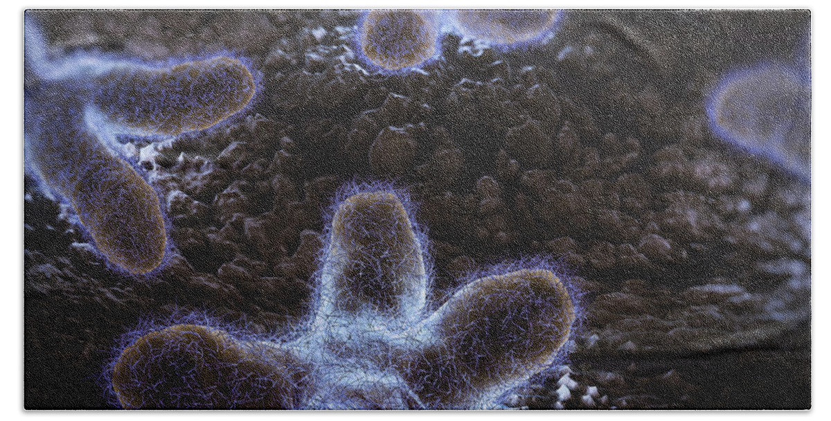 Human Body Hand Towel featuring the photograph Human Chromosomes #15 by Science Picture Co